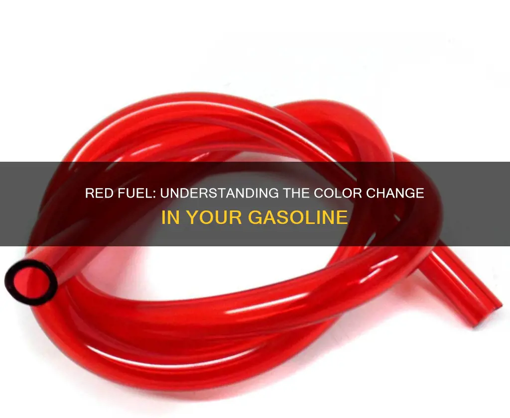 why is gasoline in my fuel line red