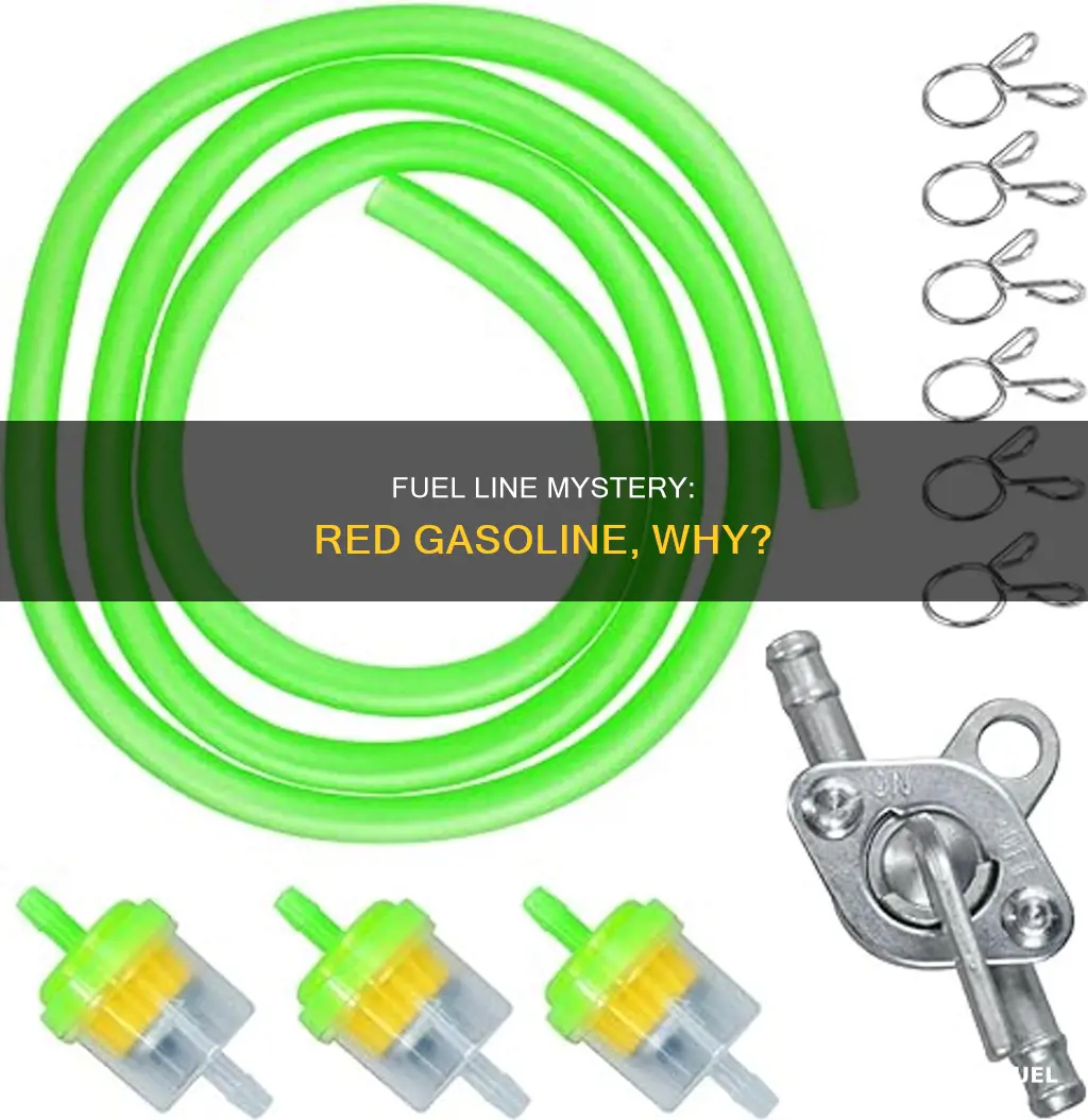 why is gasoline in my fuel line red