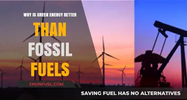 Green Energy: Sustainable Future, Better than Fossil Fuels