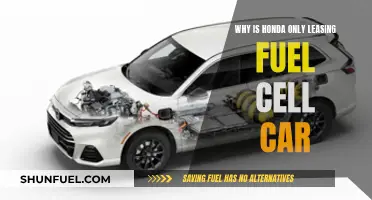 Honda's Fuel Cell Car: Leasing, Not Buying. Why?