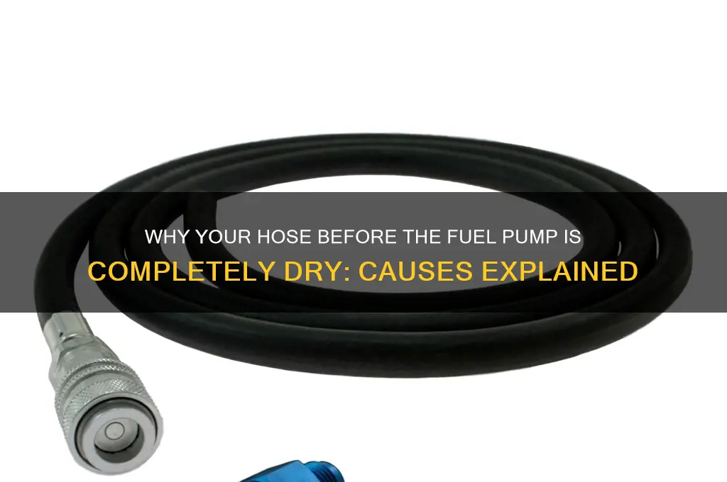 why is hose before fuel pump completely dry