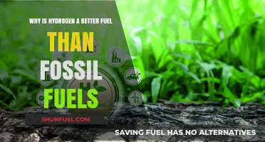 Hydrogen Fuel: A Cleaner, Sustainable Alternative to Fossil Fuels