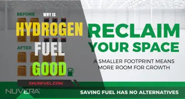 Hydrogen Fuel: A Sustainable and Clean Energy Solution for Tomorrow