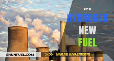 Revolutionizing Energy: The Rise of Hydrogen as a Clean Fuel Source
