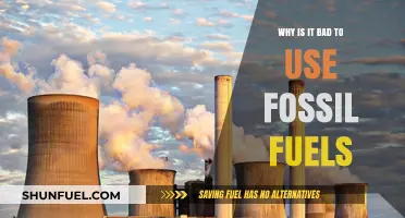 Fossil Fuels' Harmful Impact: Environmental, Economic, and Health Consequences Explained