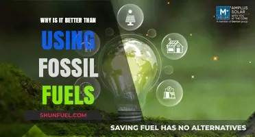Renewable Energy: A Cleaner, Sustainable Alternative to Fossil Fuels