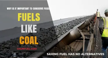 Conserving Coal: Why Fossil Fuel Preservation is Crucial for Our Future