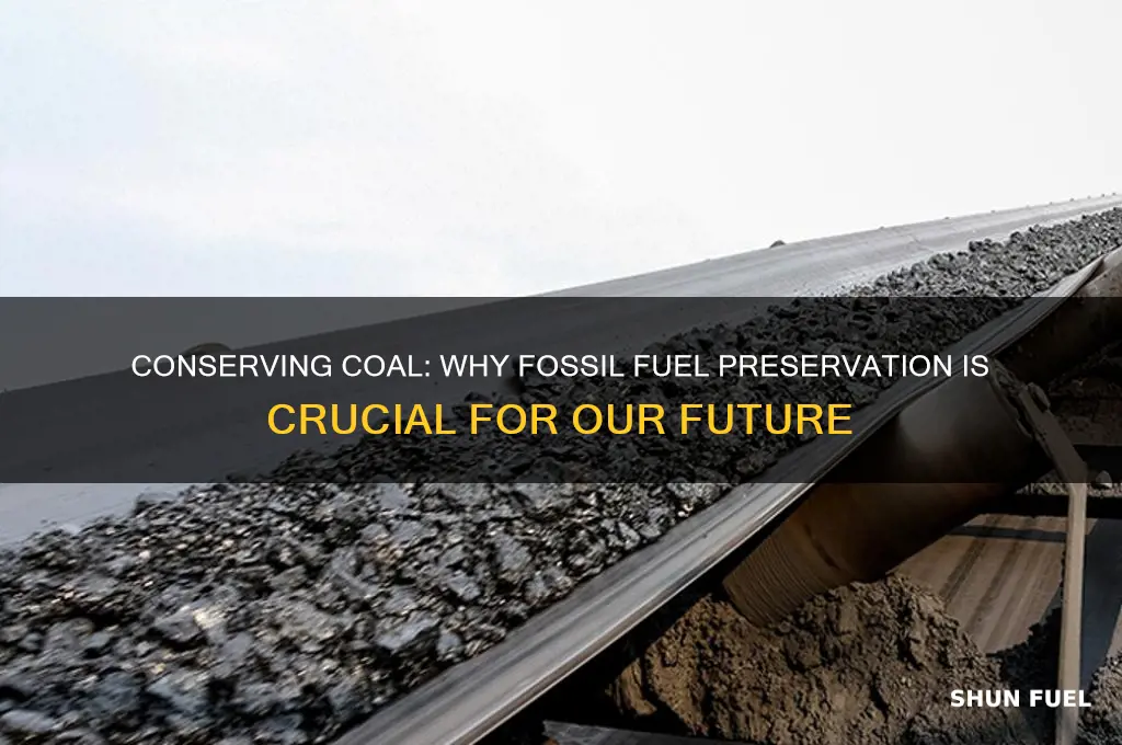 why is it important to conserve fossil fuels like coal