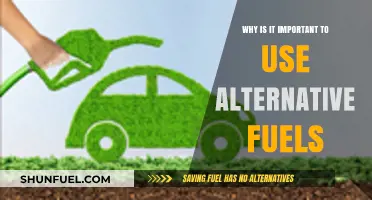 Why Alternative Fuels Are Essential for a Sustainable Future