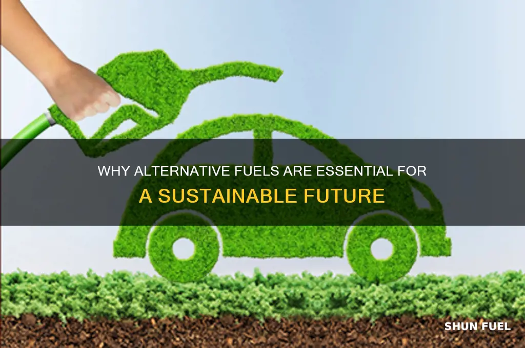 why is it important to use alternative fuels
