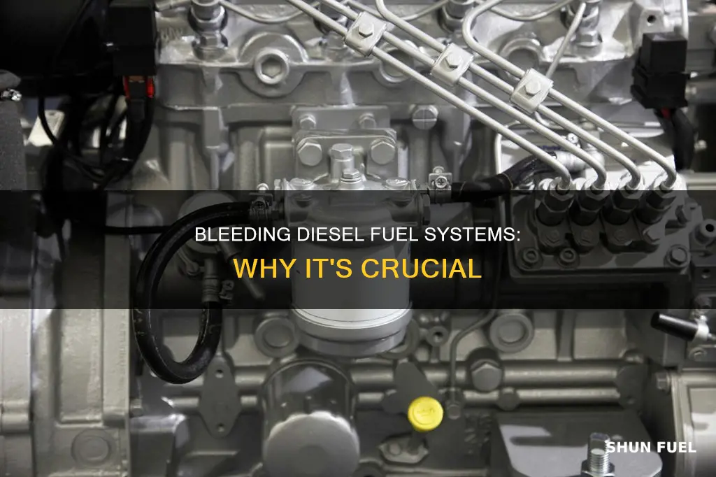 why is it necessary to bleed a diesel fuel system