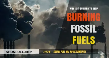 Breaking the Fossil Fuel Habit: Barriers to a Sustainable Future