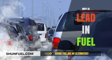 Unleashing the Truth: The Hidden Dangers of Lead in Fuel