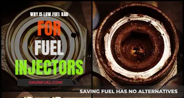 Fuel Injectors and Low Fuel Levels: A Bad Mix
