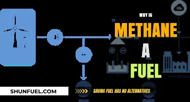 Exploring Methane's Potential as a Sustainable Fuel Source