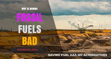 The Devastating Environmental Impact of Mining Fossil Fuels Explained