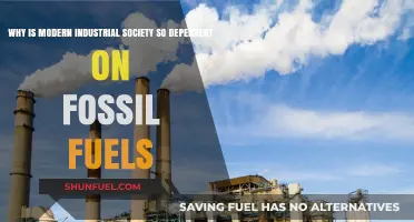 Fossil Fuels: The Unseen Backbone of Modern Industrial Society