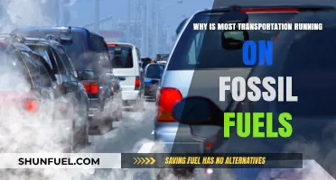 Fossil Fuels Dominance: The Persistent Power Behind Global Transportation