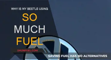 Fuel Efficiency: Beetle's High Consumption Mystery