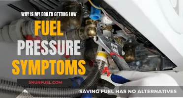 Troubleshoot Your Boiler's Low Fuel Pressure Symptoms