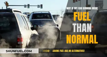 Car Burning More Fuel: What's the Reason?