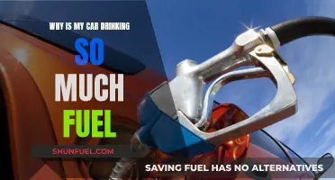 Car Fuel Consumption: Why Is My Car So Thirsty?