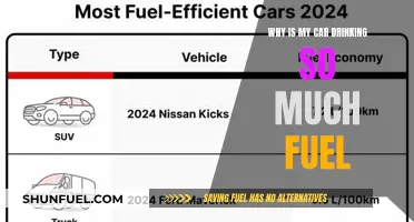 Fuel Efficiency: Why Your Car Drinks More Than You Think
