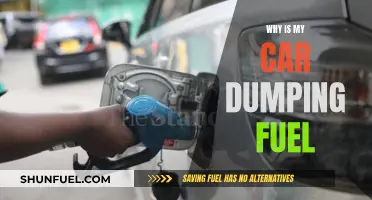 Car Fuel Dumping: Possible Causes and Solutions