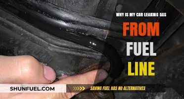 Fuel Line Leaks: Causes and Solutions for Your Car's Gas Crisis