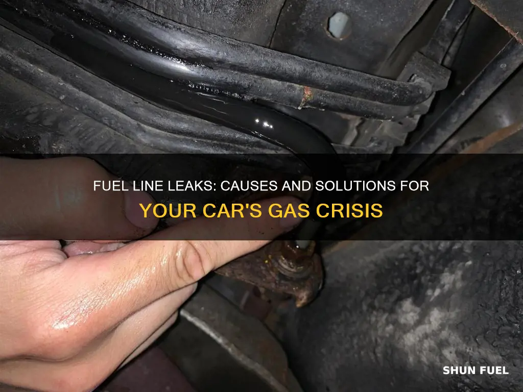 why is my car leaking gas from fuel line