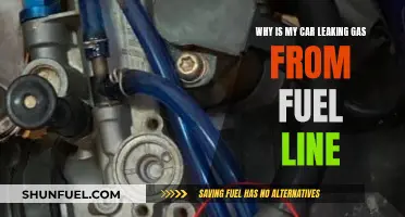 Fuel Line Leak: Why Your Car is Losing Gas