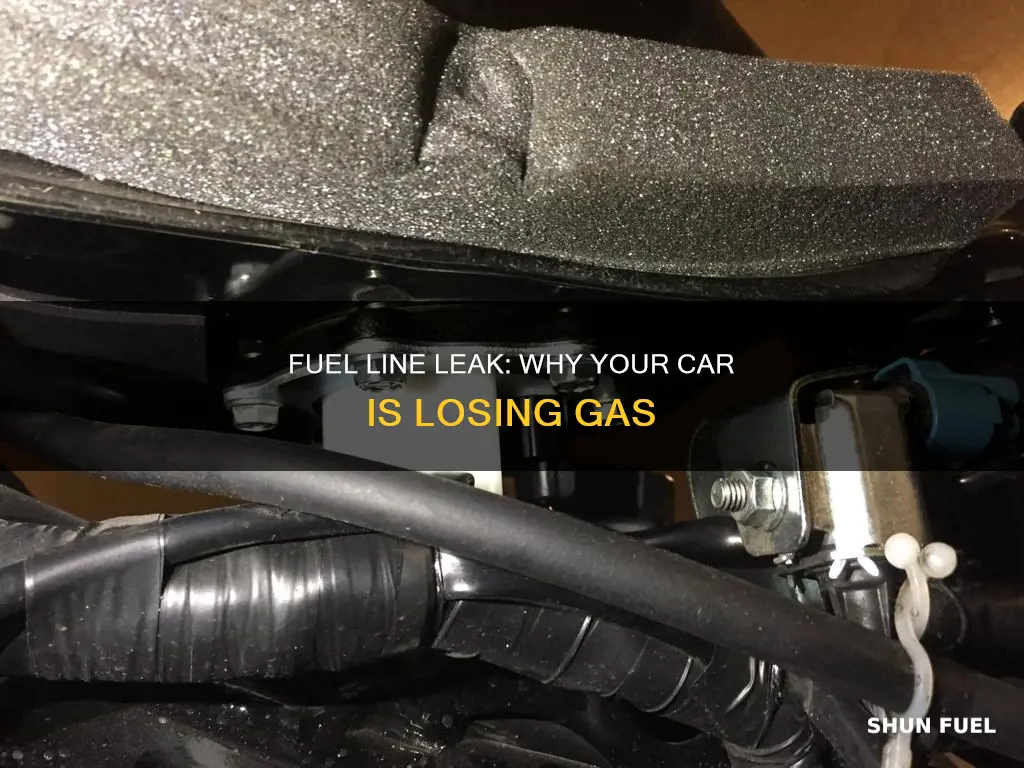 why is my car leaking gas from fuel line