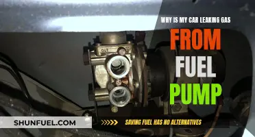 Fuel Pump Gas Leak: What's the Cause?