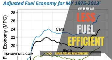 Fuel Efficiency Woes: Why is My Car Less Economical?