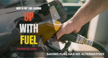 Fuel Loading in Cars: What's the Issue?