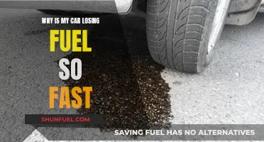 Car Fuel Woes: Diagnosing Rapid Fuel Loss