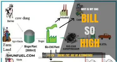 Understanding the Factors Behind Your High CNG Bill