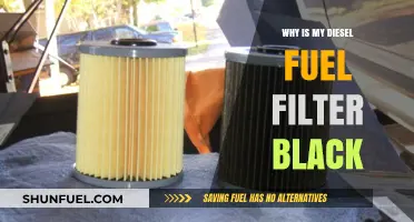 Black Diesel Fuel Filter: What's the Issue?