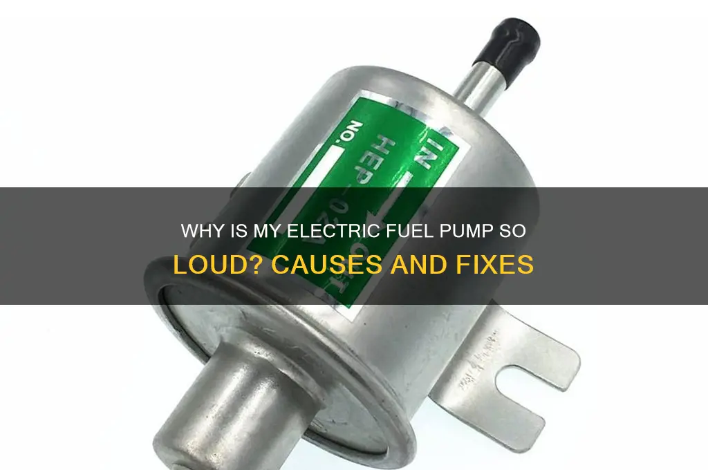 why is my electric fuel pump so loud