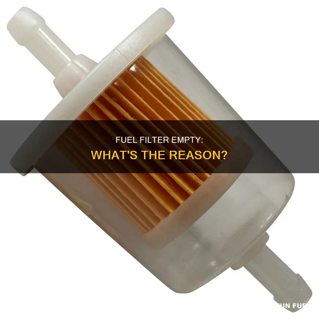 why is my fuel filter empty
