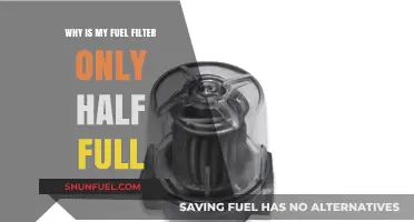 Fuel Filter Woes: Why Half Full?