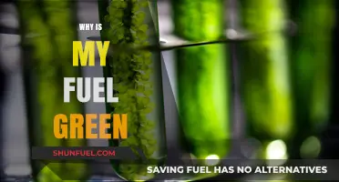 Eco-Friendly Fuel: Understanding the Green Revolution in Your Tank