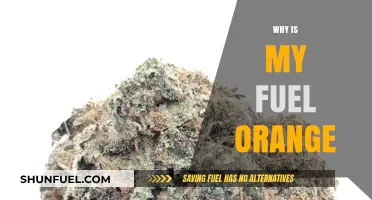 Why Is My Fuel Orange? Understanding the Causes and Solutions