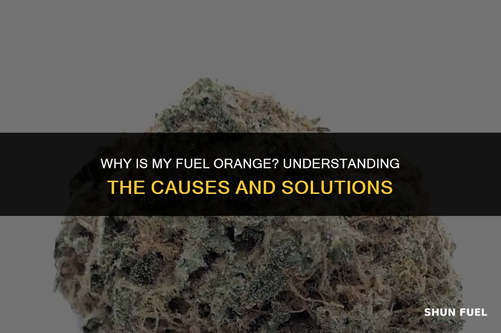 why is my fuel orange