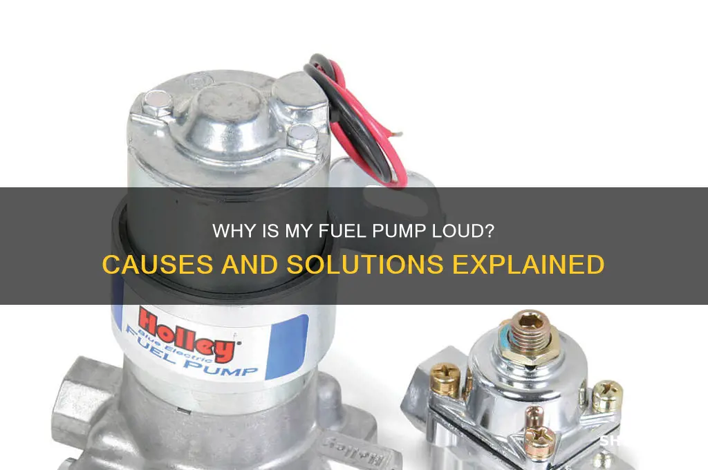 why is my fuel pump loud