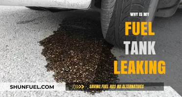Fuel Tank Woes: Why is it Leaking?