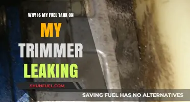 Trimmer Fuel Tank Leaks: How to Fix?