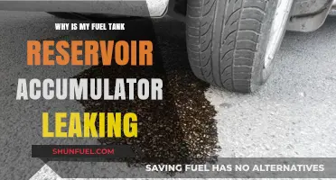 Fuel Tank Reservoir Accumulator Leaking: What's the Cause?
