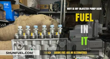 Why Fuel Accumulates in Your Injector Pump: Causes and Solutions