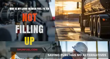 Lawn Mower Fuel Filter: Why Isn't It Filling?